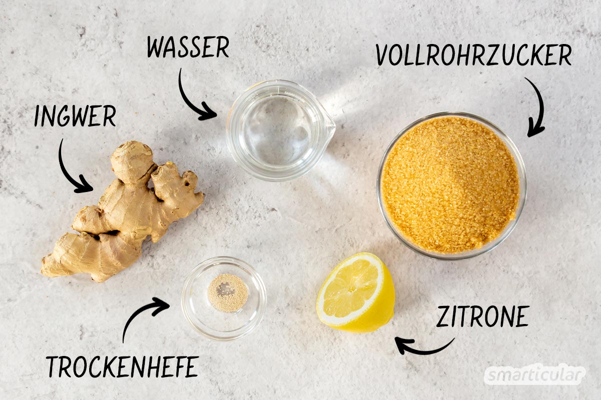 Mit unserem Ginger-Beer-Rezept gehört Kästenschleppen der Vergangenheit an. Die süß-scharfe Limonade lässt sich mit wenigen Zutaten selber hermachen.