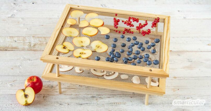 Um Kräuter, Pilze und Beeren durch Trocknen haltbar zu machen, kannst du einen Kräutertrockner aus stapelbaren Trockenrahmen selber bauen.