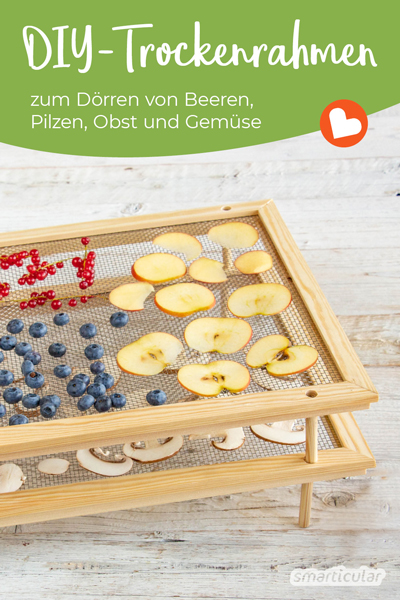 Um Kräuter, Pilze und Beeren durch Trocknen haltbar zu machen, kannst du einen Kräutertrockner aus stapelbaren Trockenrahmen selber bauen.