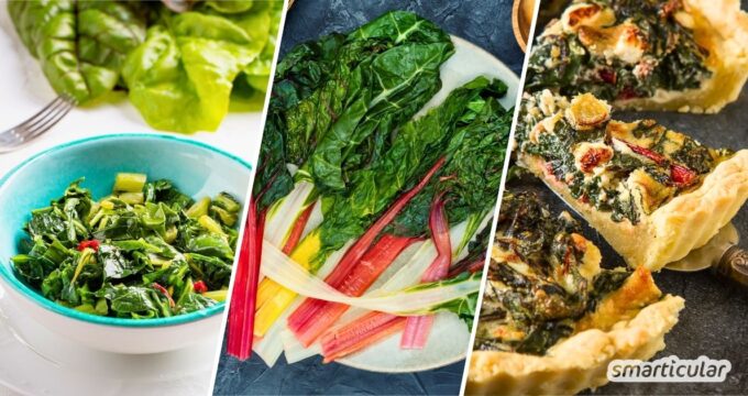 Mangold ist zahlreiche Wochen regional verfügbar und lässt sich vielfältig verarbeiten - hier findest du die besten Mangold-Rezepte.