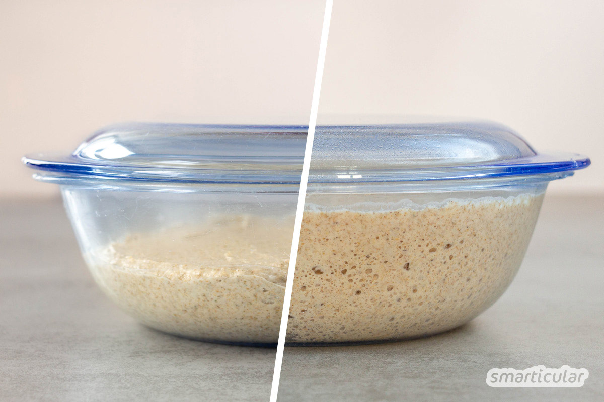 roggenbroetchen-mit-sauerteig-rezept-backen-3 Roggenbrötchen schmecken besonders aromatisch. Hier findest du für das rustikale Gebäck ein einfaches Rezept mit Sauerteig, das ohne Hefe auskommt.