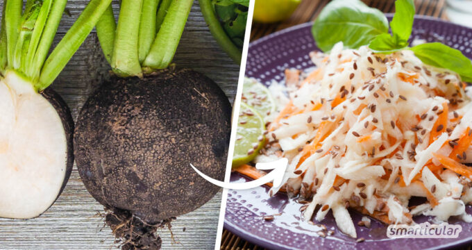 Schwarzer-Rettich-Salat bringt rohköstliche Abwechslung in die Herbst- und Winterküche. Dieses Rettichsalat-Rezept lässt sich scharf oder auch mild zubereiten.