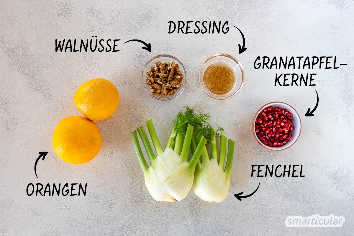 Ein knackiger Fenchelsalat mit Orangen bringt Farbe und Vitamine auf den Tisch. Entdecke hier ein einfaches, veganes Rezept aus wenigen Zutaten.