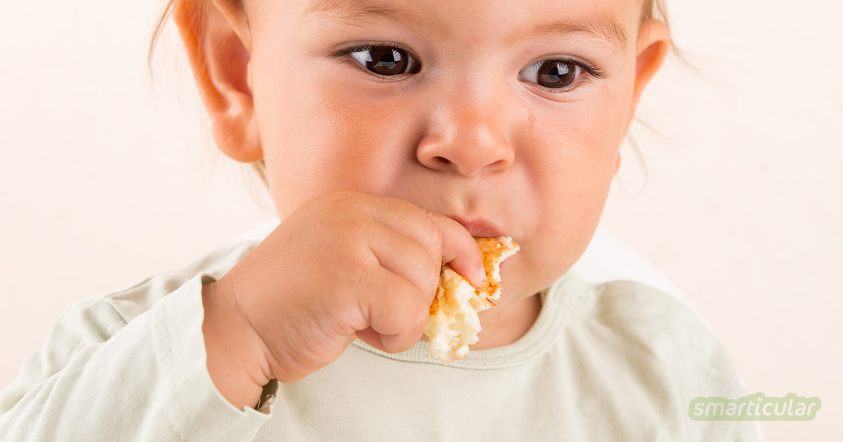 Gesunde Baby-Snacks lassen sich leicht selber machen. Hier findest du gleich mehrere Rezepte, die mit wenigen Zutaten und ganz ohne Industriezucker auskommen.