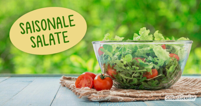 Mit diesen Salat-Ideen kannst du zu jeder Jahreszeit einen Salat mit saisonalen Zutaten genießen - besonders frisch und nachhaltig.