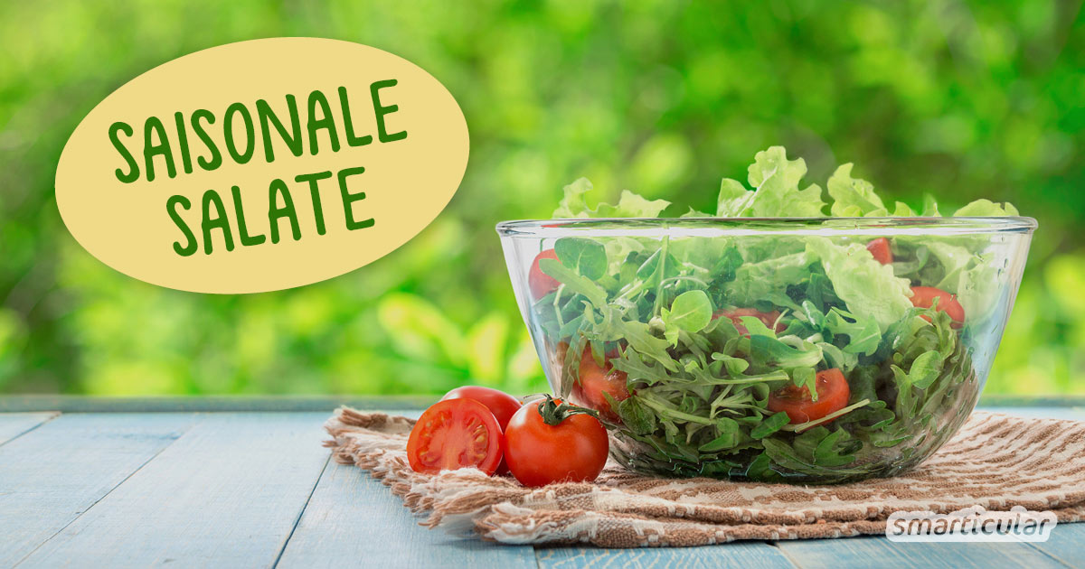 Mit diesen Salat-Ideen kannst du zu jeder Jahreszeit einen Salat mit saisonalen Zutaten genießen - besonders frisch und nachhaltig.