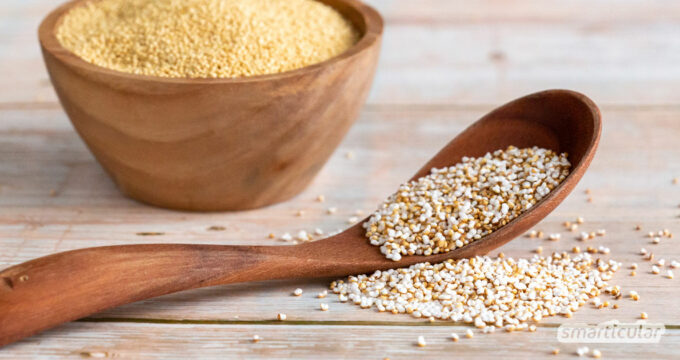 Vielerorts gibt es Quinoa und Amaranth gepufft zu kaufen. Das Selbermachen dieser köstlichen Müslizutat lohnt sich aber aus vielen Gründen. So geht’s!