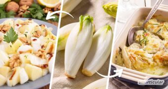 Chicorée ist leicht, gesund und lässt sich abwechslungsreich zubereiten. Hier findest du Tipps und Rezepte rund um das aromatische Blattgemüse.