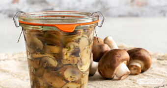Pilze fermentieren? Ja! Denn silierte Pilze sind lange haltbar und schmecken gewürzt einfach köstlich. Für den Pilz-Genuss auch außerhalb der Saison.