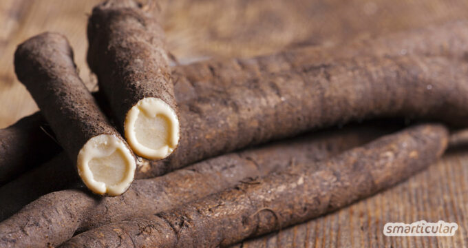 Wenn du Schwarzwurzeln zubereiten möchtest, empfiehlt es sich, ein paar kleine Tipps zu beherzigen. Hier erfährst du, wie der Winterspargel am besten gelingt.