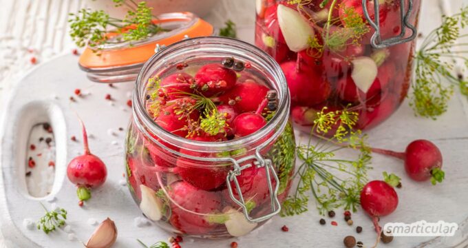 Radieschen fermentieren und damit haltbar machen - für den köstlichen Vorrat außerhalb der Saison. Hier findest du ein einfaches und wandelbares Rezept!