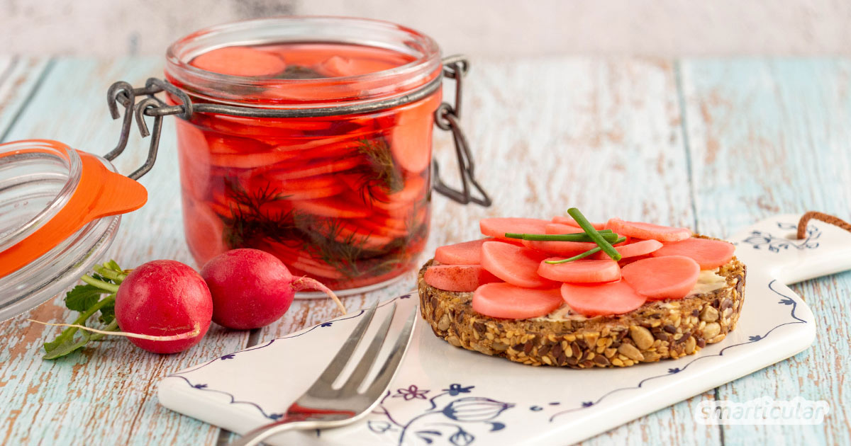 Radieschen werden - einmal geerntet - schnell schrumpelig. Wer sie länger genießen möchte, kann die Radieschen einlegen. Das geht ganz einfach mit diesem Rezept.