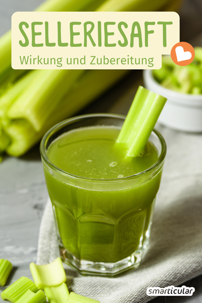 Der regelmäßige Genuss von Selleriesaft hat viele Vorteile. Hier erfährst du, wie das gesunde Grün zubereitet wird und wie es im Körper wirkt.