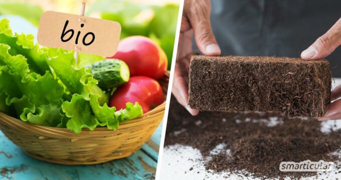 Wenn die Biodiversität schwindet, wirkt sich das auch auf unser Leben negativ aus. Mit diesen einfachen Tipps hilfst du, die Artenvielfalt zu bewahren!