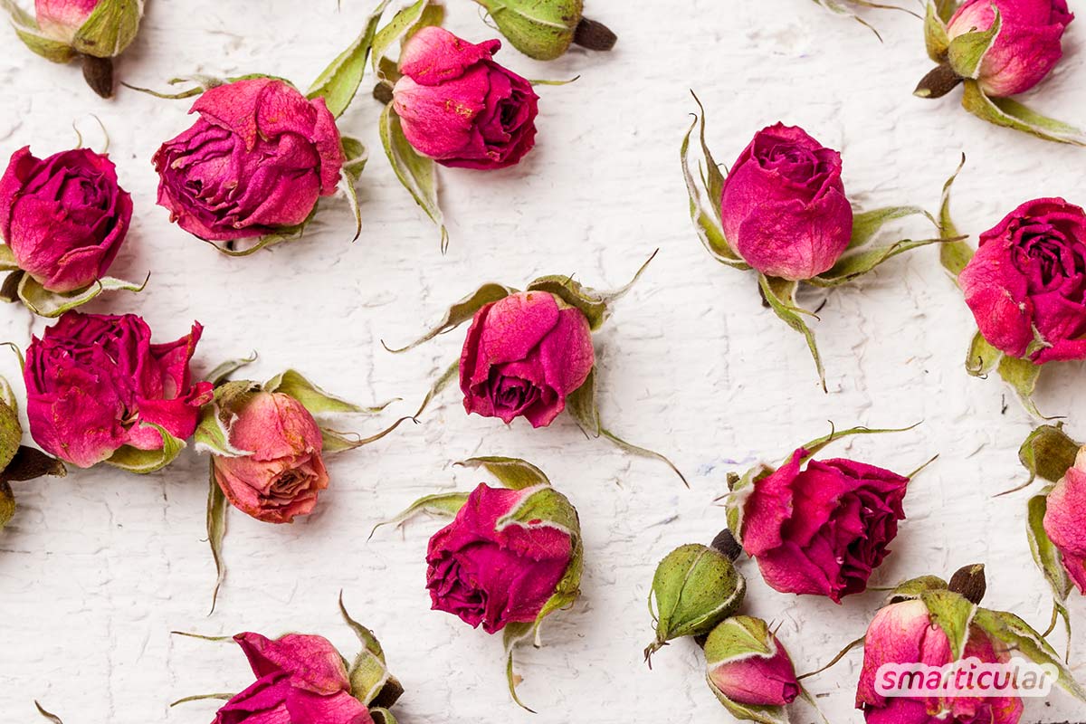 Rosen sind besonders beliebt, doch es lassen sich auch alle anderen Blumen trocknen: Es gibt Methoden für einzelne Blüten und auch für ganze Blumensträuße.