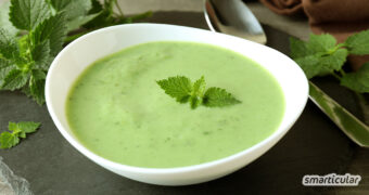 An warmen Sommertagen bietet eine kalte Brennnessel-Suppe mit Joghurt eine gesunde und schnell gemachte Erfrischung.