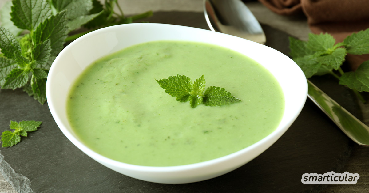 An warmen Sommertagen bietet eine kalte Brennnessel-Suppe mit Joghurt eine gesunde und schnell gemachte Erfrischung.