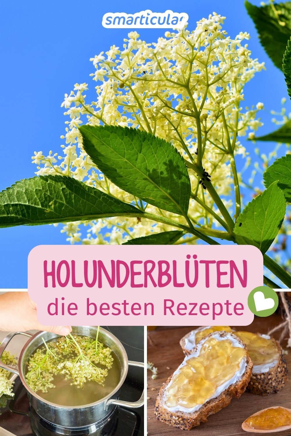Holunderblüten sind altbewährtes Hausmittel und wohlschmeckende Küchenzutat in einem - entdecke die besten Rezepte mit den zarten Dolden.