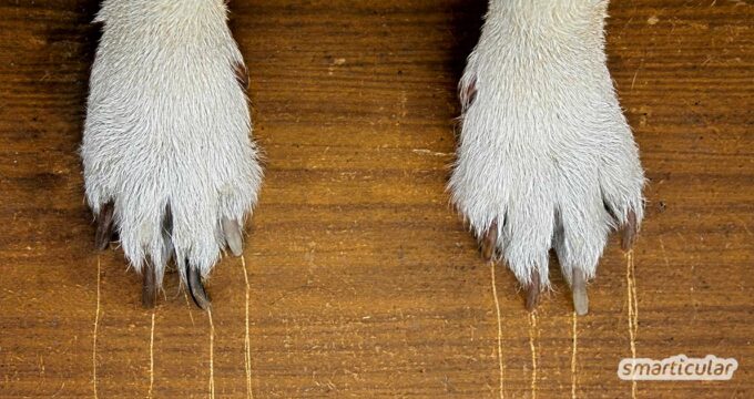 Du kannst mit einfachen Mitteln Kratzer aus Holz entfernen - oder sie zumindest geschickt kaschieren. Hier findest du die praktischsten Methoden dafür.