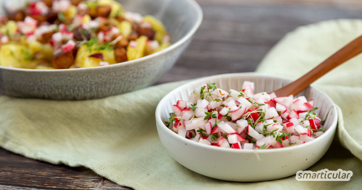Wie wäre es heute mal mit einer Radieschen-Salsa? Sie ist blitzschnell gemacht und die kleinen scharfen Knollen haben fast das ganze Jahr über Saison.