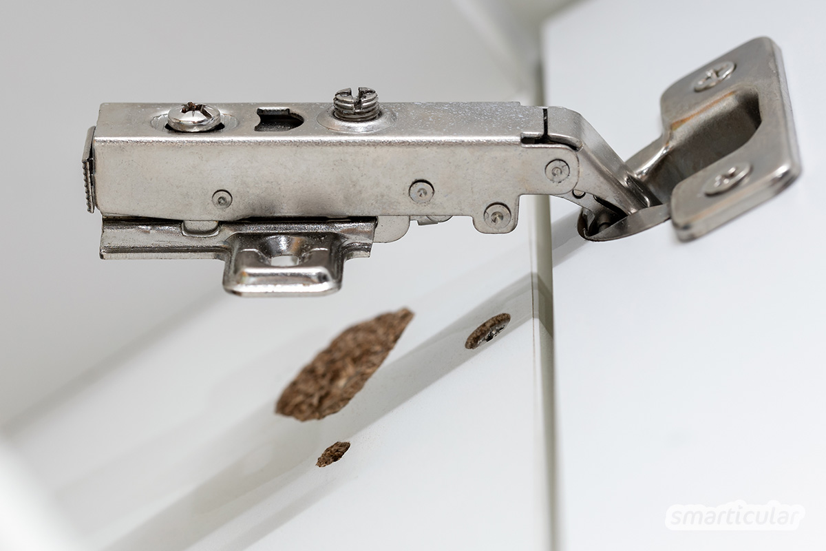 Viele Dinge wie zerbrochenes Geschirr oder ausgerissene Scharniere lassen sich mit Reparaturspachtel oder Holzkitt reparieren, statt sie teuer neu zu kaufen.