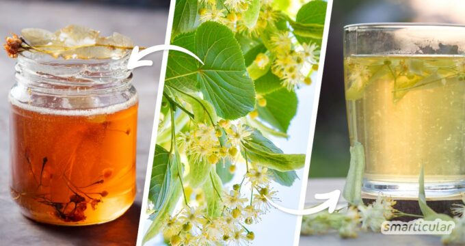Mit unseren besten Lindenblüten-Rezepten für Lindenblütensirup, -gelee und -honig kannst du das Aroma des Sommers bis in den Winter hinein haltbar machen.