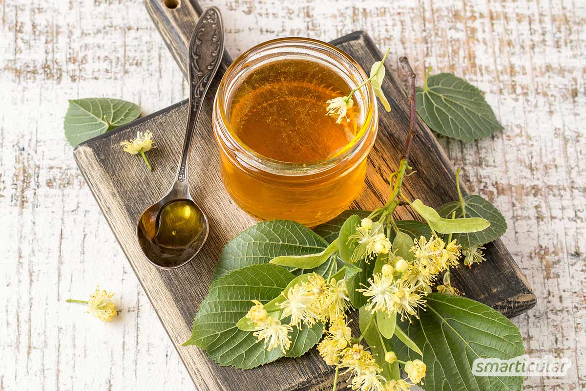 Lindenblüten-Rezepte: So einfach gelingen Lindenblütensirup, -gelee und ... Lindenblüten-Rezepte: So einfach gelingen Lindenblütensirup, -gelee und ...