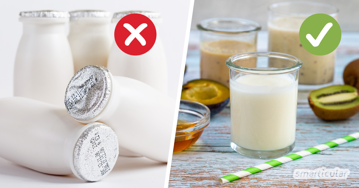 Trinkjoghurts werden meist in Plastik verpackt und enthalten viel Zucker. Mit diesem Rezept stellst du das probiotische Getränk einfach selbst her.