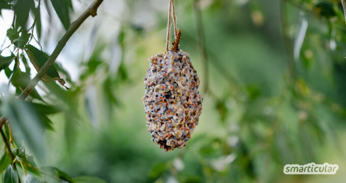 Vogelfutterzapfen sind eine nachhaltige Alternative zu Meisenknödel. Sie kommen ganz ohne Plastik aus und lassen sich ganz leicht selber machen.