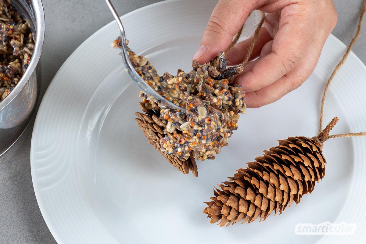 Vogelfutterzapfen sind eine nachhaltige Alternative zu Meisenknödel. Sie kommen ganz ohne Plastik aus und lassen sich ganz leicht selber machen.