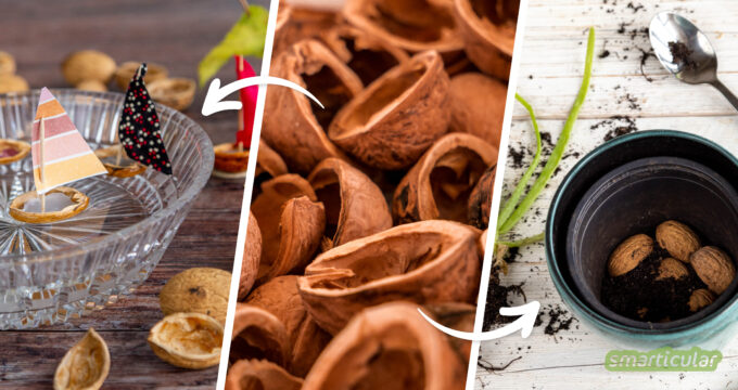 Walnussschalen lassen sich auf vielfältige Weise verwerten: Hier findest du viele Ideen zur Verwendung im Haushalt, zum kreativen Basteln und mehr.