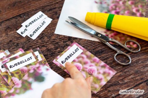 Glück aus Altpapier: Rubellose selber machen – smarticular Verlag