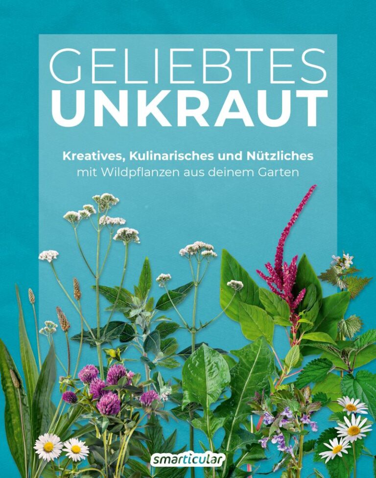 Löwenzahnsalat - knackiges Rezept voller Vitalstoffe – smarticular Verlag