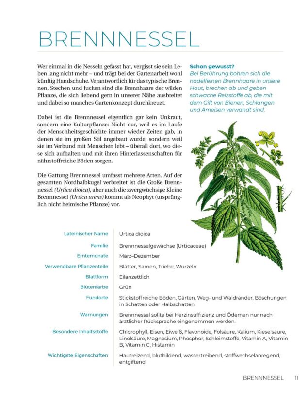 Geliebtes Unkraut - Leseprobe