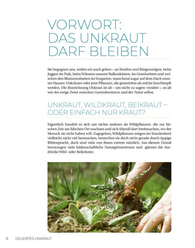 Geliebtes Unkraut - Leseprobe