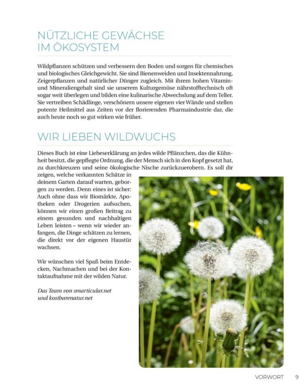 Geliebtes Unkraut - Leseprobe