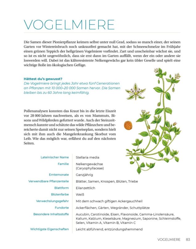 Geliebtes Unkraut - LeseprobeGeliebtes Unkraut - Leseprobe