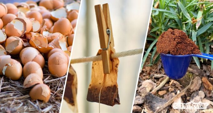 Viele Abfallprodukte sind zu wertvoll um einfach weggeworfen zu werden. Diese Abfälle verwendest du viel besser als Dünger!