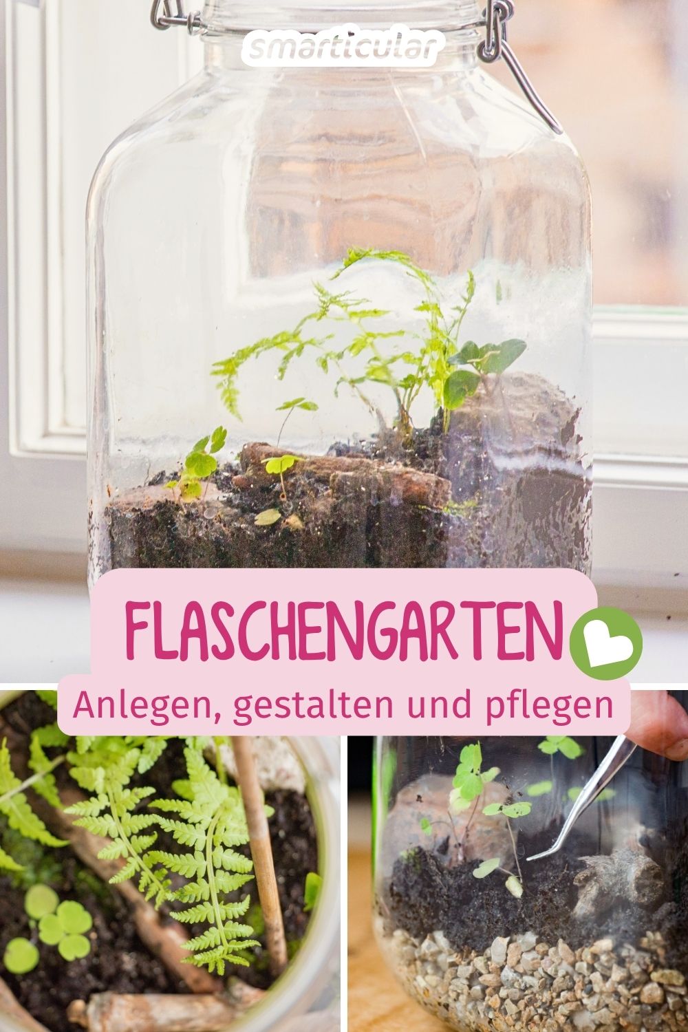 Hol dir den Mini-Urwald nach Hause! Erfahre, wie du einen Flaschengarten selber machen kannst - von der richtigen Erde bis zur Bepflanzung.