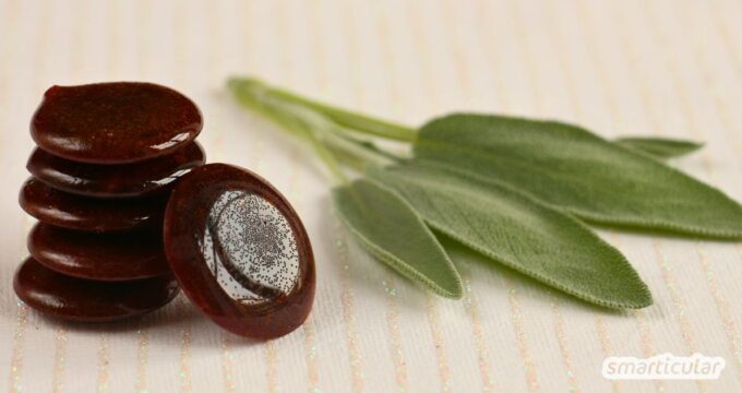 Salbeibonbons selber machen ist nicht kompliziert. In der Hausapotheke helfen die kleinen Halsschmeichler bei Husten und Halsschmerzen.