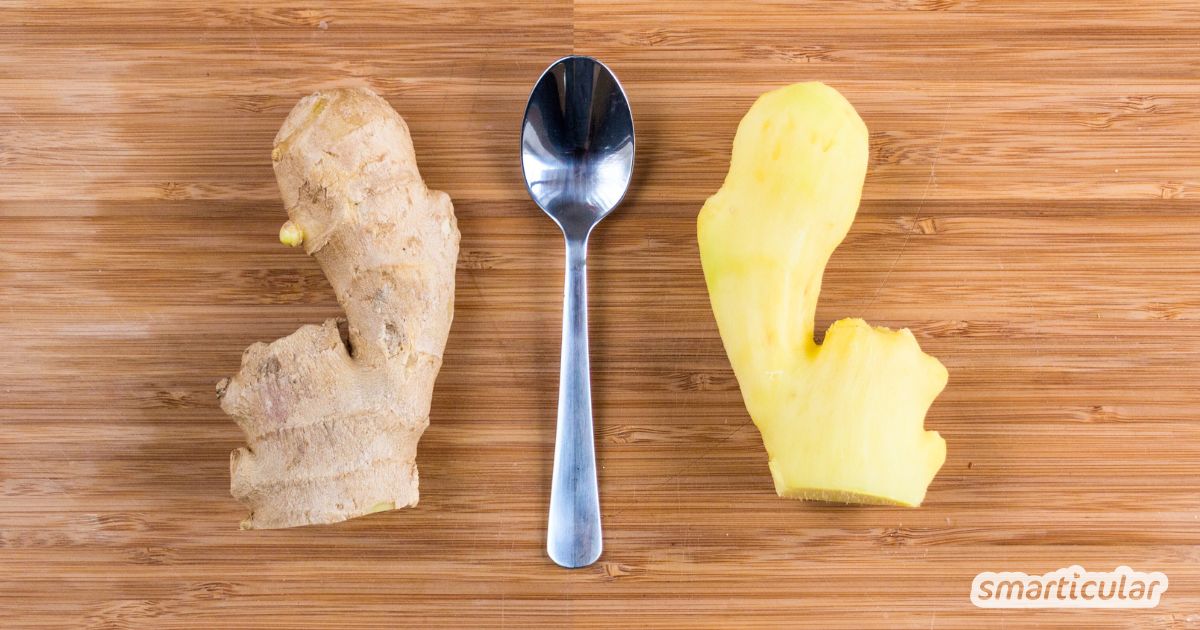 Ingwer schälen - muss das sein oder nicht? Hier erfährst du, wann du die Knolle schälen solltest und wie es am besten funktioniert!