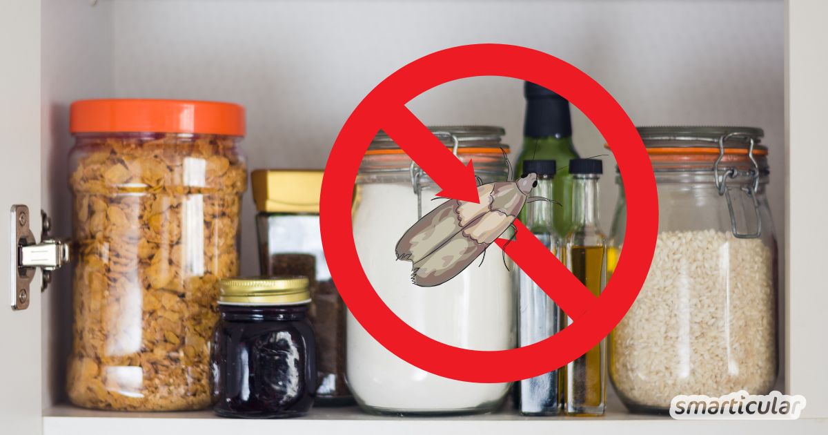 Mottenplage im Küchenschrank? Mit diesen Hausmitteln und Tricks bekämpfst du Lebensmittelmotten langfristig und effektiv.