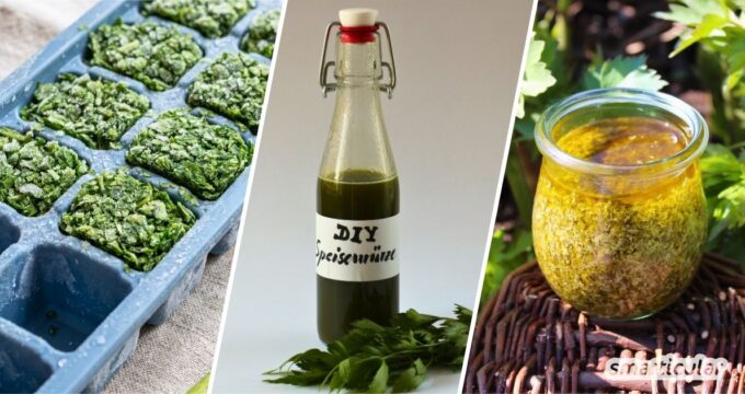 Vergiss künstliche Flüssigwürze - mit diesen Rezepten kannst du Liebstöckel haltbar machen und hast das beliebte Aroma jederzeit griffbereit.