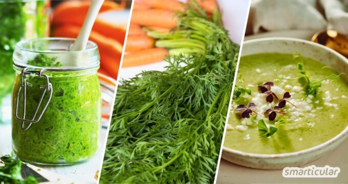Statt es wegzuwerfen, kannst du das gesunde Möhrengrün verwerten: In Smoothies, für ein würziges Pesto, als Suppengrün oder für ein Taboulé.