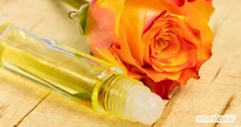 Entdecke kreative ätherische Öle Roll-on Rezepte, mit denen du im Handumdrehen natürliche Helfer für unterwegs herstellen kannst.