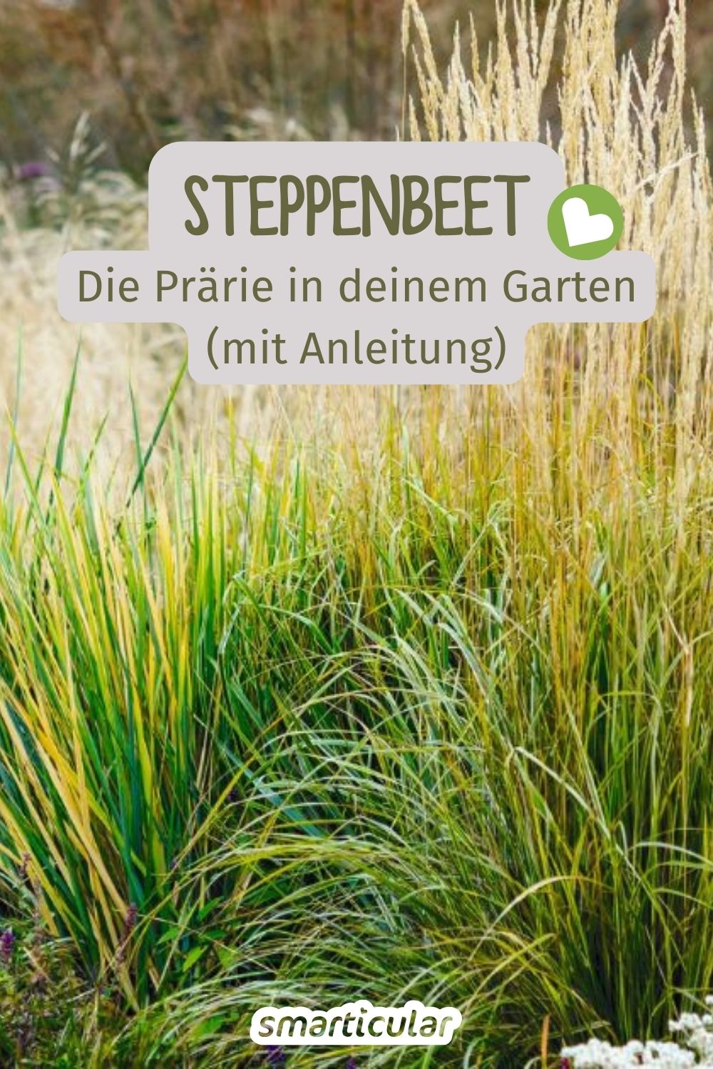 Ein Steppenbeet ist pflegeleicht und dabei ein echter Hingucker. Es kommt mit wenig Wasser aus und kann heimische Pflanzen fördern. In diesem Artikel erfährst du, wie du ein Steppenbeet anlegst, welche Pflanzen sich dafür eignen und welche Schritte nötig sind, um deinen Garten in eine wahre Prärie zu verwandeln.