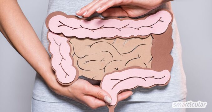 Eine Darmsanierung bringt die Darmflora ins Gleichgewicht. Erfahre hier, wie sich deine Verdauung mit einfachen Tipps und Hausmitteln erholt.
