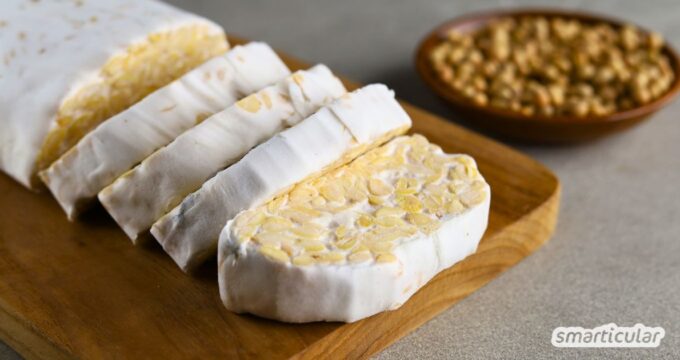 Tempeh ist weniger bekannt als Tofu, aber genauso gesund und vielseitig. Lass ihn dir schmecken mit diesen köstlichen Rezepten.