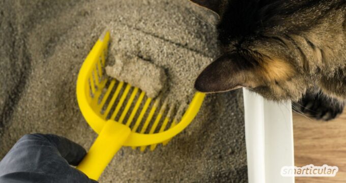 Die richtige Entsorgung von Katzenstreu ist ein kleiner, aber wichtiger Beitrag zu einer sauberen Umwelt und einem hygienischen Zuhause. Indem du die Streuart bewusst auswählst und sie richtig entsorgst, tust du nicht nur deiner Katze, sondern auch der Natur etwas Gutes.