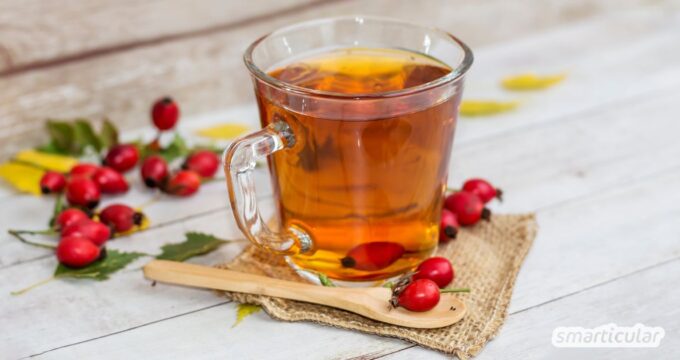 Hagebuttentee schmeckt aromatisch und liefert jede Menge Vitalstoffe. Statt ihn zu kaufen, kannst du ihn einfach in der freien Natur sammeln.